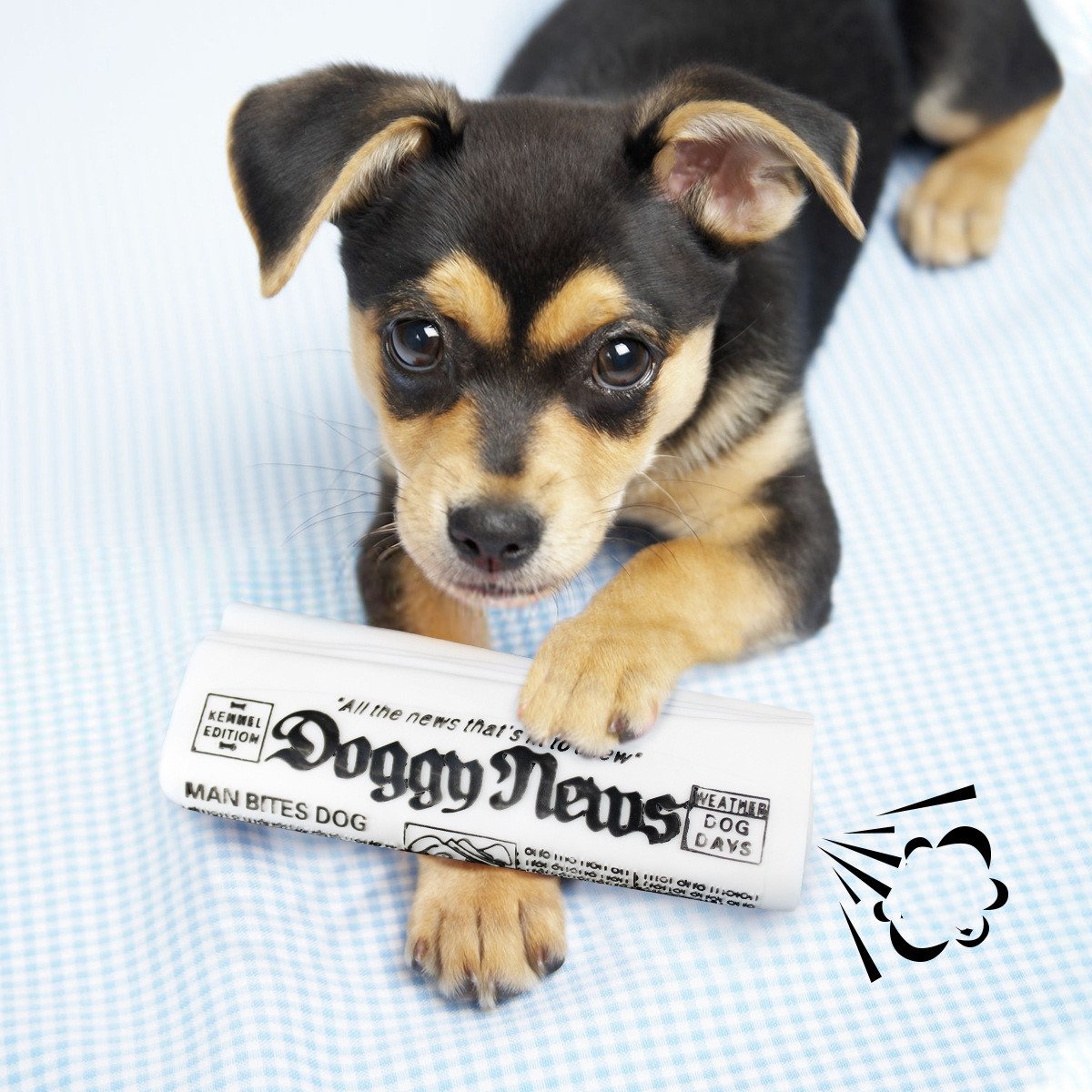 Chewable Squeaky Trainer Toy for Dogs