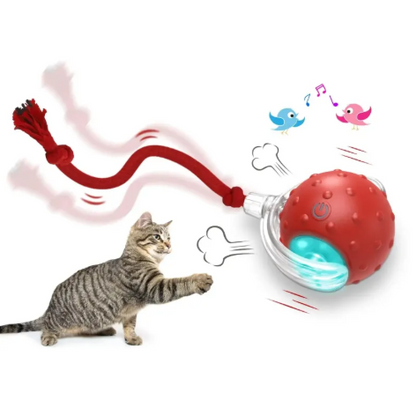 Engaging Kitty Play Ball