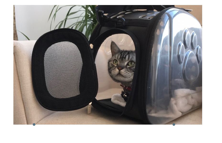 Clear View Pet Carrier Backpack
