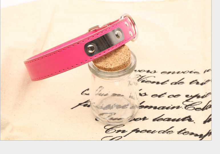 Custom Pet Name Collar - Dog Accessories