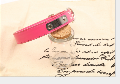 Custom Pet Name Collar - Dog Accessories