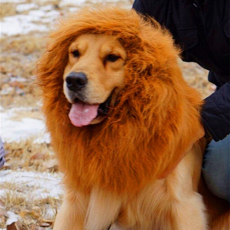 Lion Mane Dog Wig