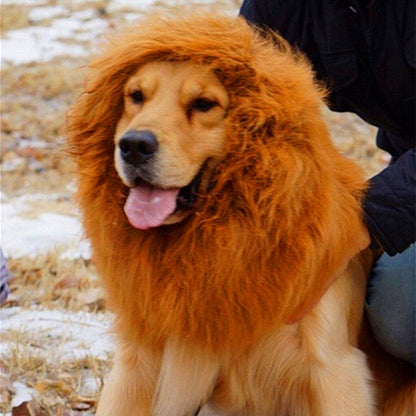 Lion Mane Dog Wig