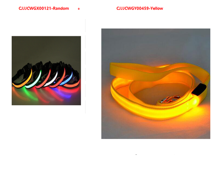 Glowing Dog Leash & Collar Set
