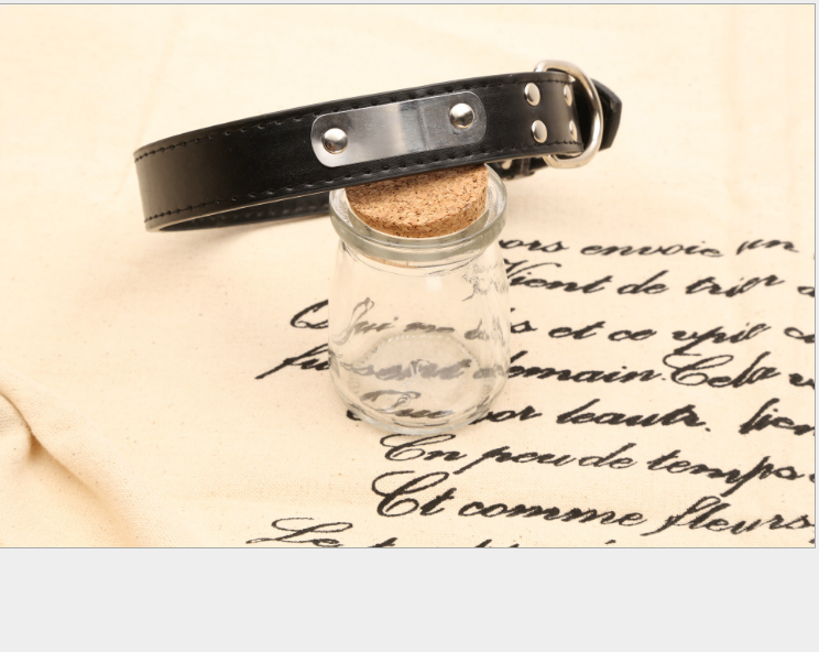 Custom Pet Name Collar - Dog Accessories