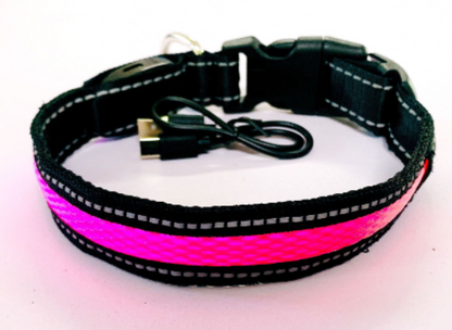 Glowing Dog Leash & Collar Set