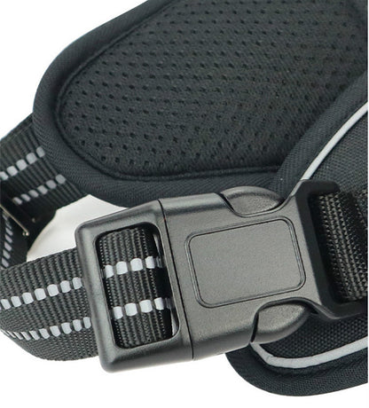 Sturdy All-Weather Dog Harness with Handle