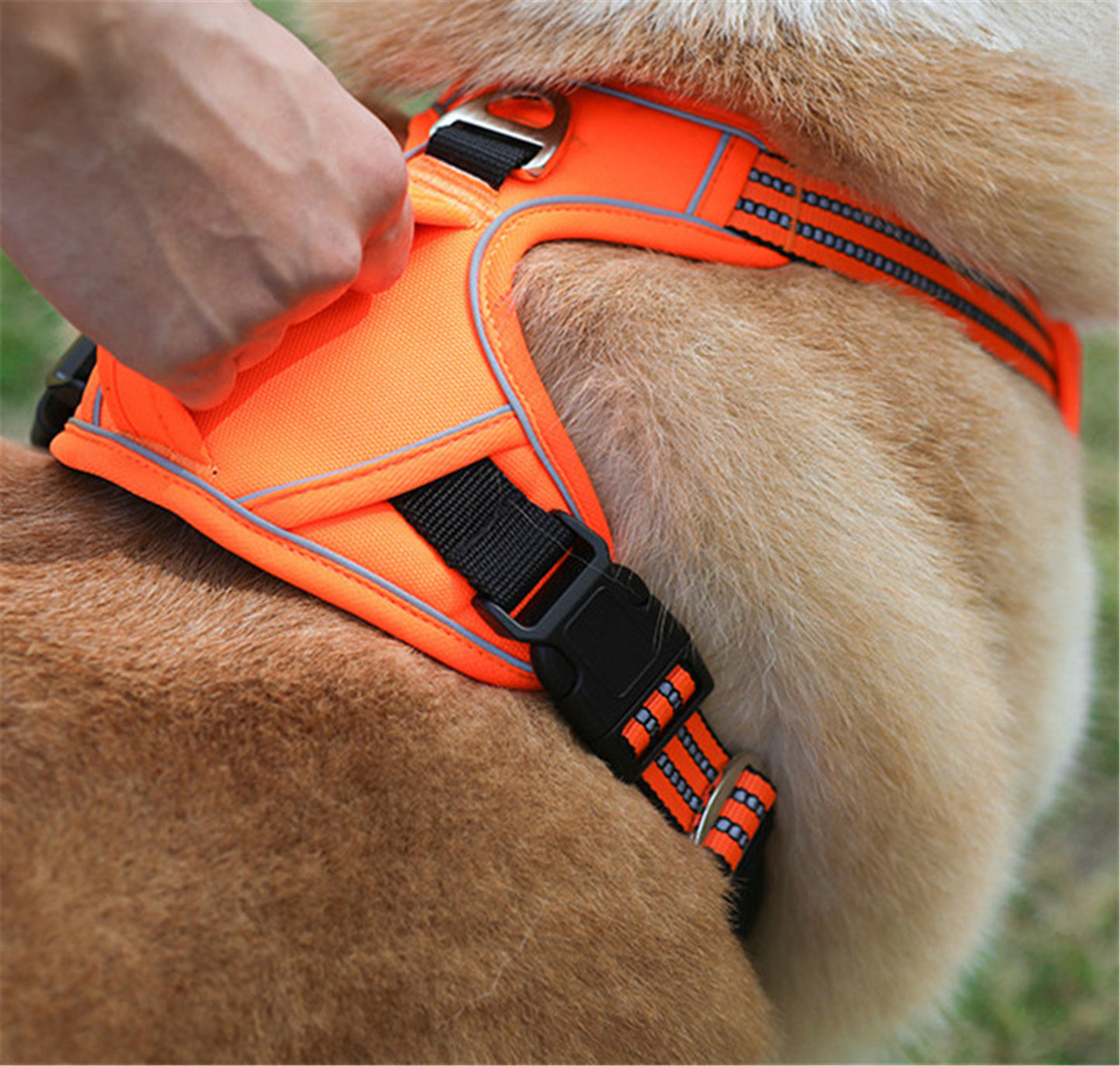 Sturdy All-Weather Dog Harness with Handle