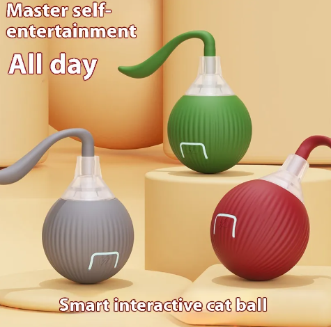 Engaging Kitty Play Ball