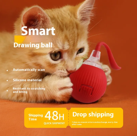 Engaging Kitty Play Ball