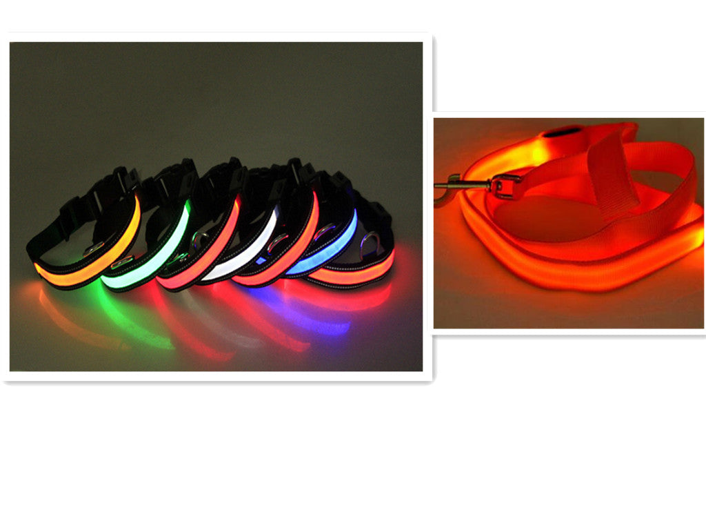 Glowing Dog Leash & Collar Set