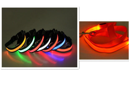 Glowing Dog Leash & Collar Set
