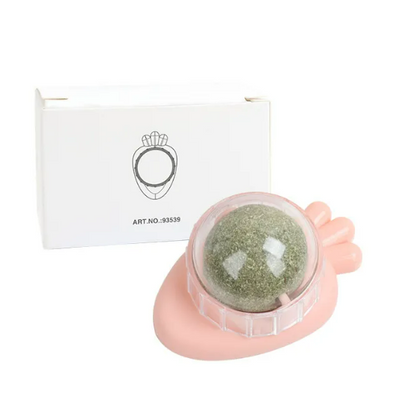 Minty Spin Cat Toy