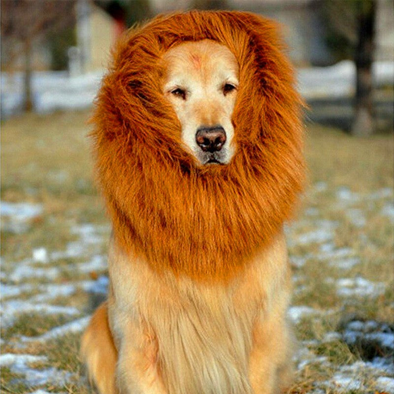 Lion Mane Dog Wig