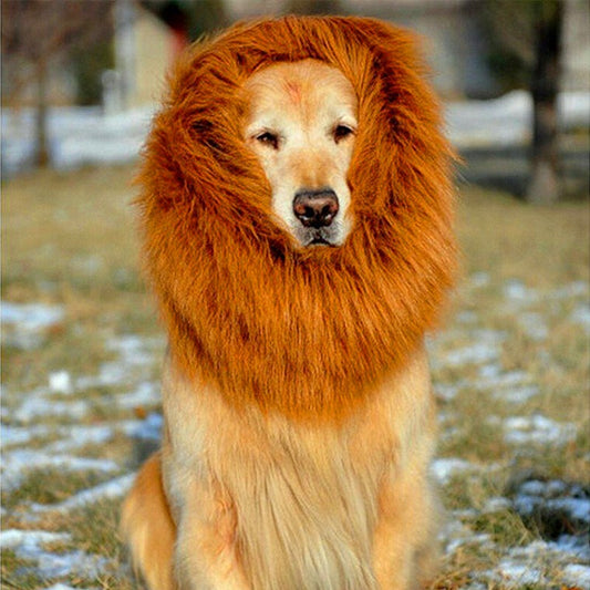 Lion Mane Dog Wig