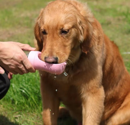 Travel-Friendly Pet Hydration Bottle
