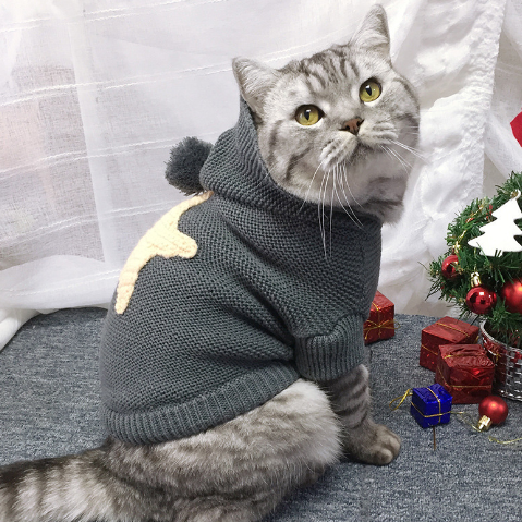 Starry Pet Sweaters for Autumn & Winter