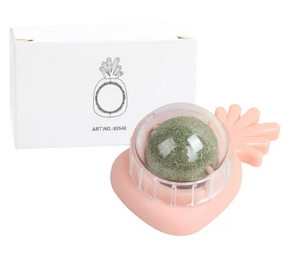 Minty Spin Cat Toy