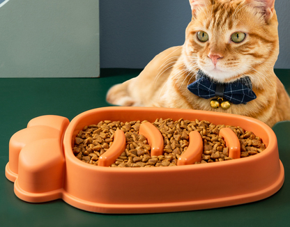 SafeChew Bowl for Large Dogs - Slow Feeding Design