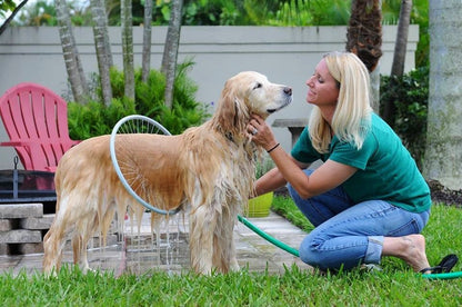 Puppy Splash Bathing Ring