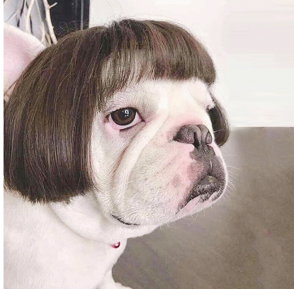 CosplayChic Styling Wig