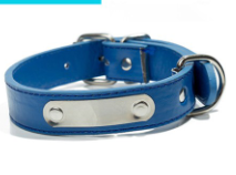 Custom Pet Name Collar - Dog Accessories