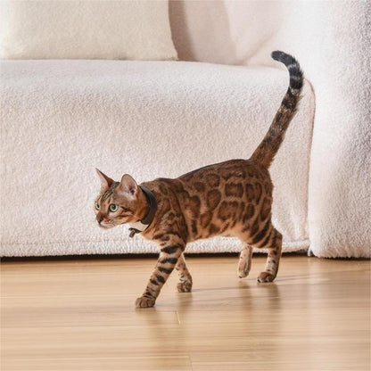 Feline Fun Laser Collar Toy