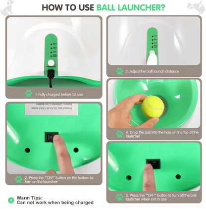 AutoFetch Dog Ball Launcher
