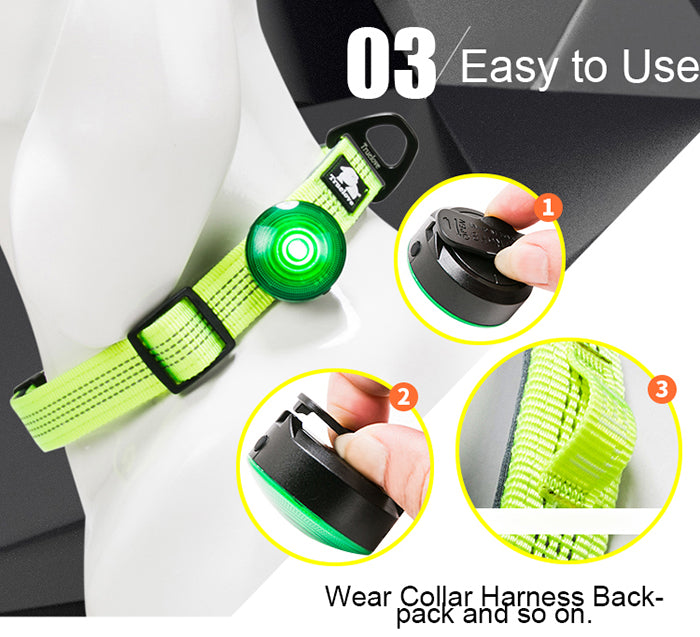 NightGlow LED Dog Collar