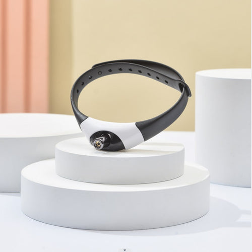 Feline Fun Laser Collar Toy