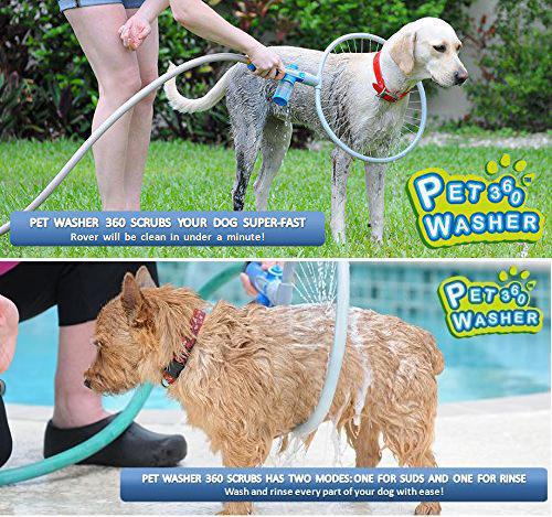 Puppy Splash Bathing Ring