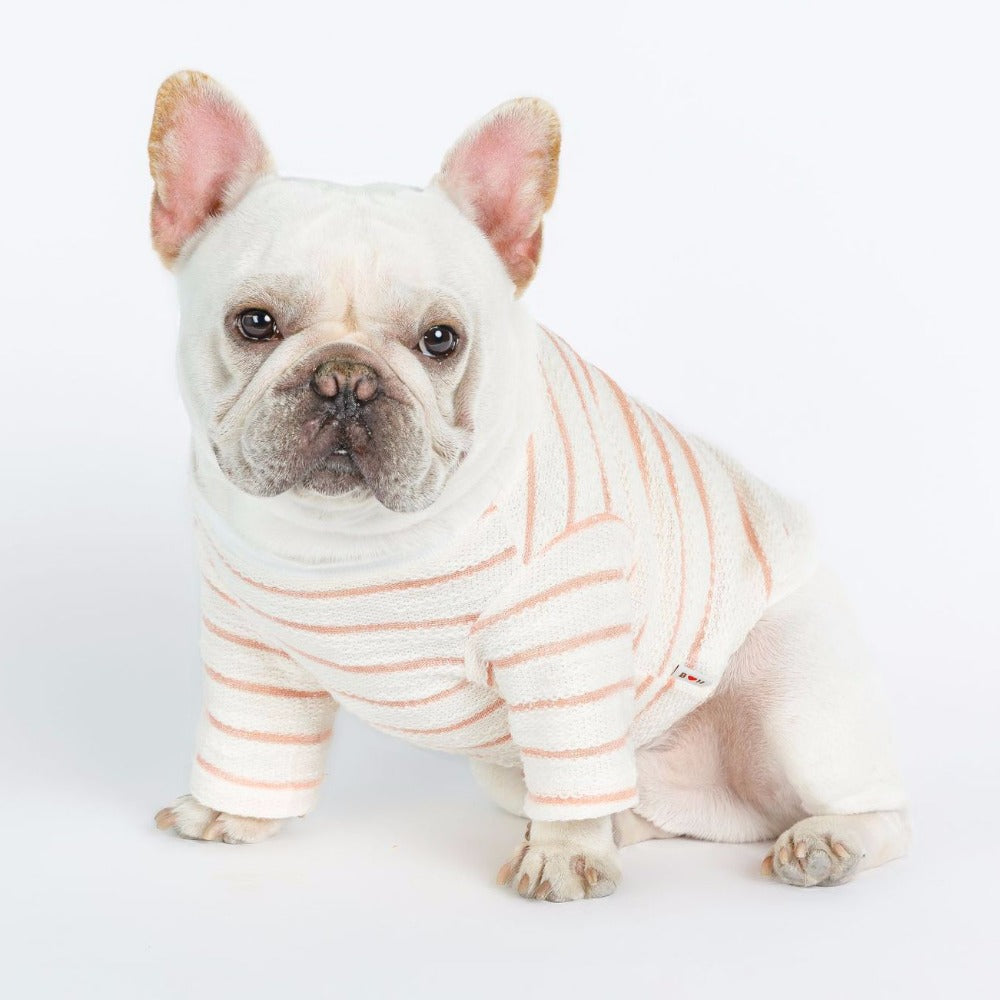 Chic Embroidered Tee for Small Dogs