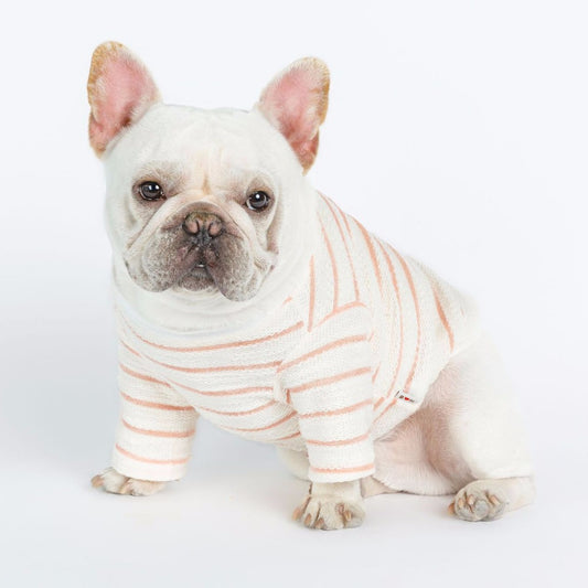 Chic Embroidered Tee for Small Dogs