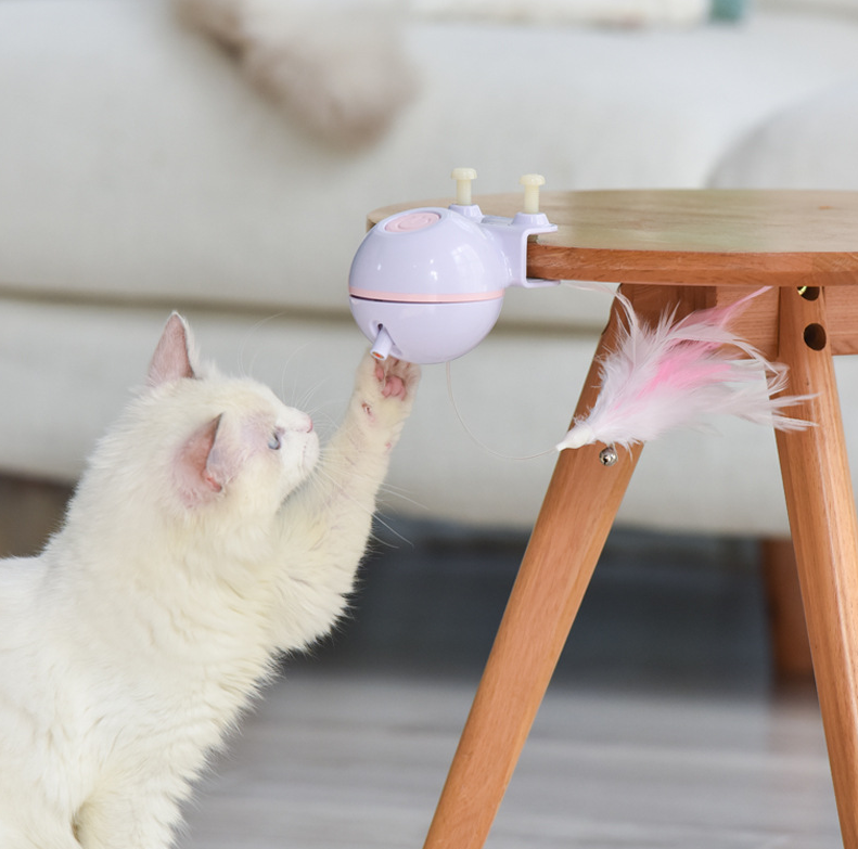 USB Chargeable Cat Teaser Toy