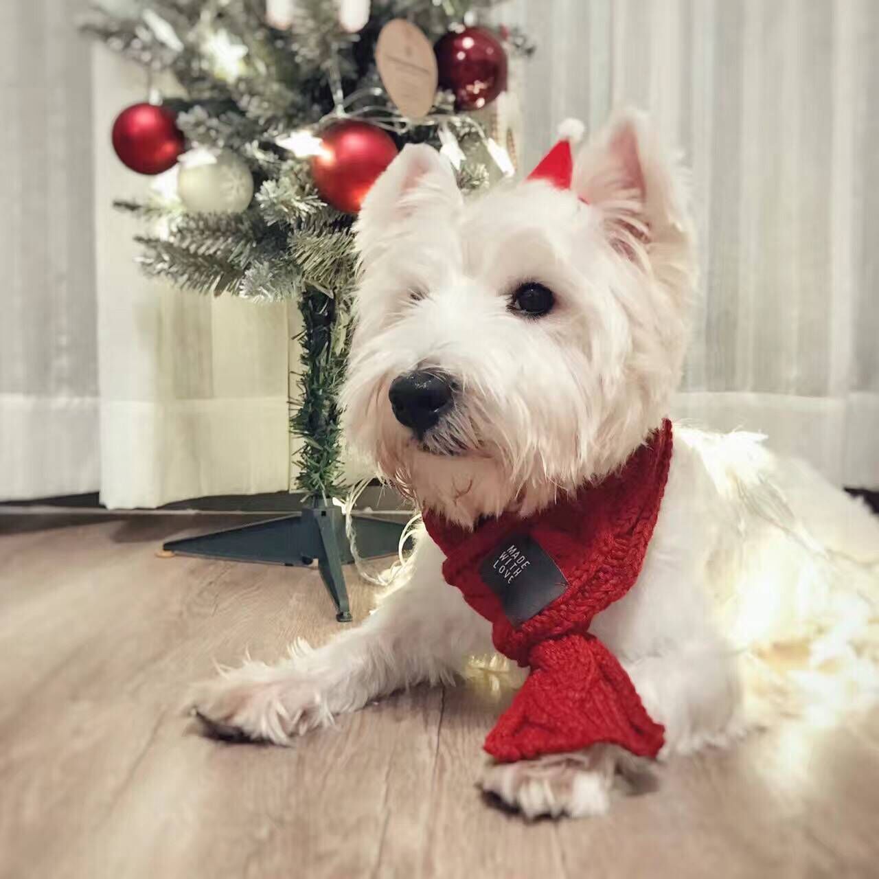 Chic Woolen Pet Scarf