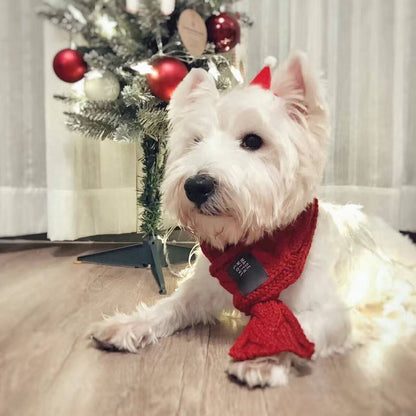 Chic Woolen Pet Scarf