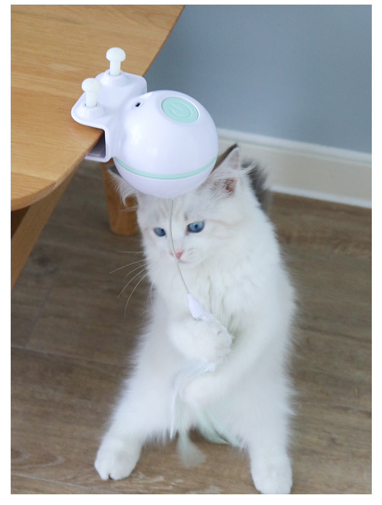 USB Chargeable Cat Teaser Toy