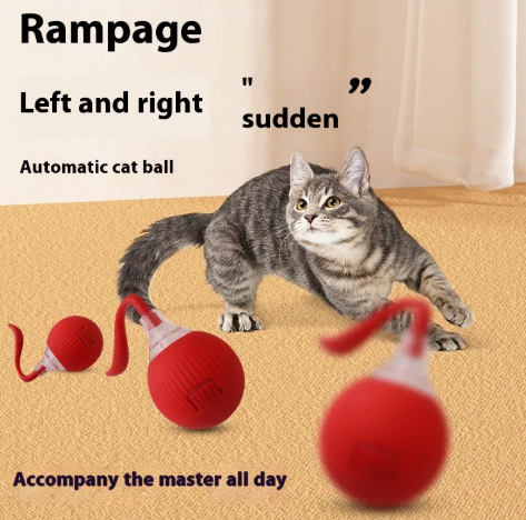 Engaging Kitty Play Ball