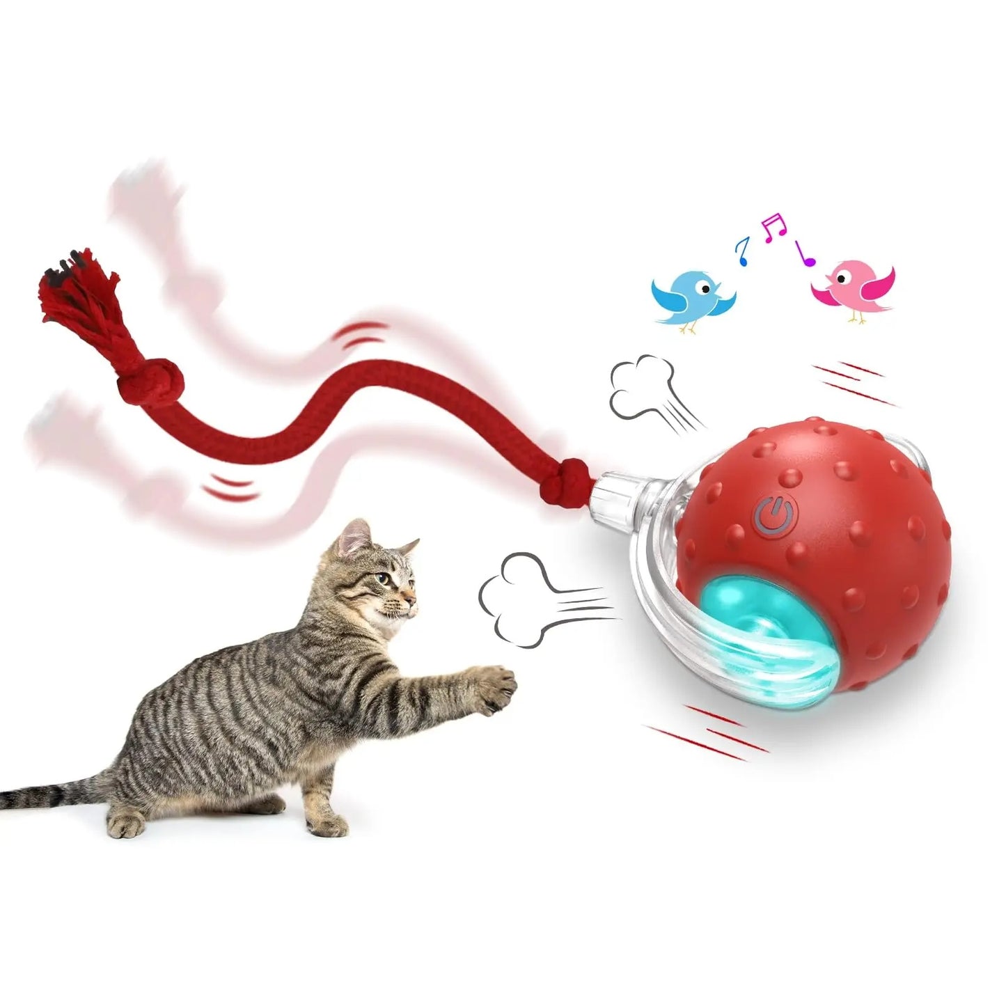Engaging Kitty Play Ball