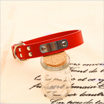 Custom Pet Name Collar - Dog Accessories