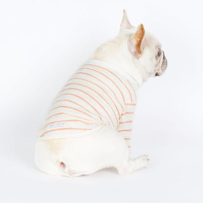 Chic Embroidered Tee for Small Dogs