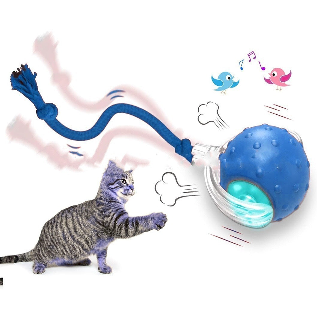 Engaging Kitty Play Ball