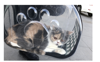 Clear View Pet Carrier Backpack
