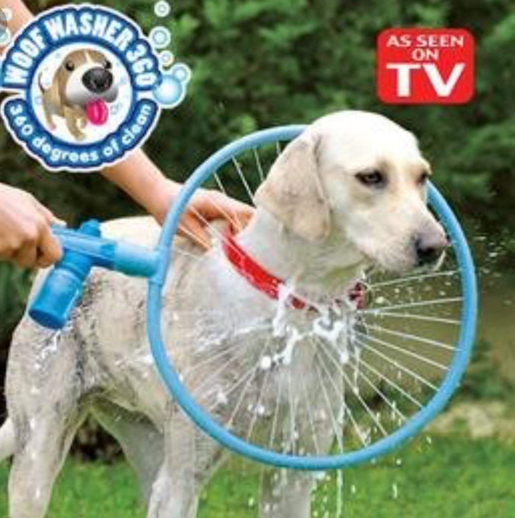 Puppy Splash Bathing Ring