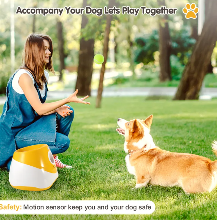AutoFetch Dog Ball Launcher