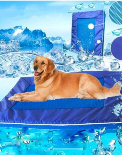 Summer Chill Pet Mat