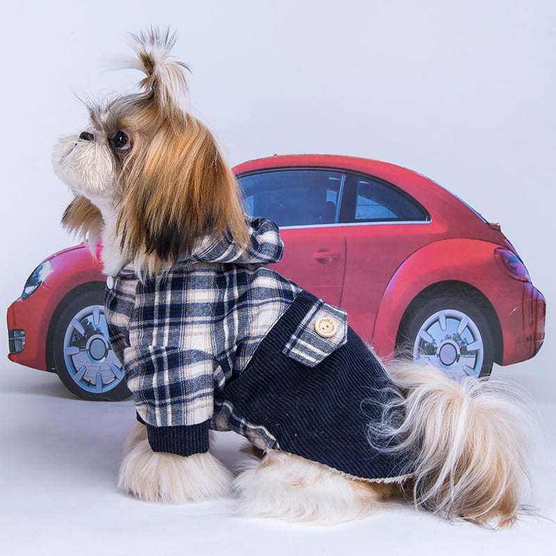 Pomeranian Elite Cashmere Dog Hoodie