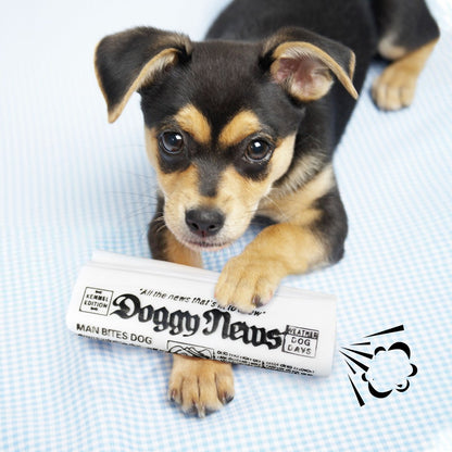 Chewable Squeaky Trainer Toy for Dogs