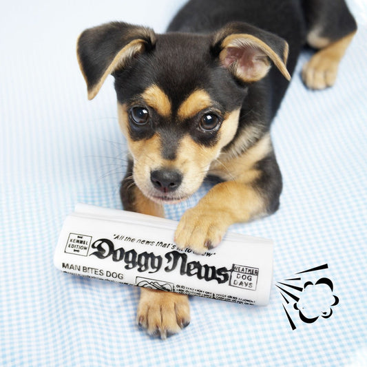 Chewable Squeaky Trainer Toy for Dogs