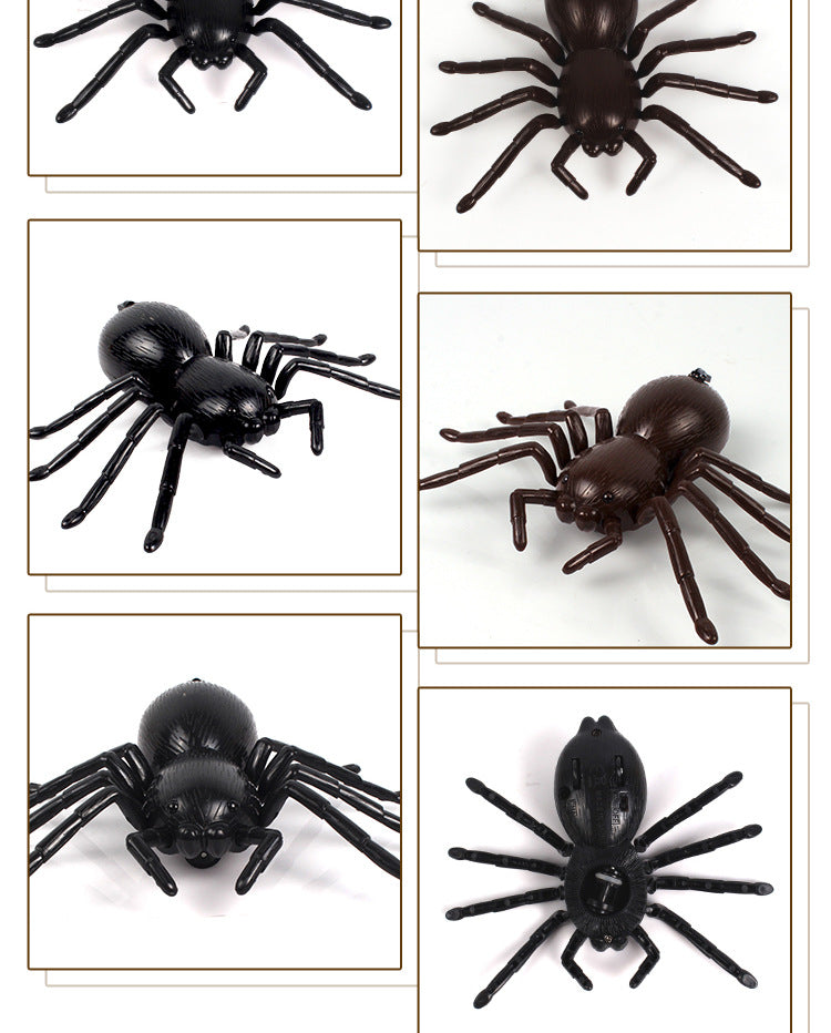 Lifelike RC Spider Buddy Toy